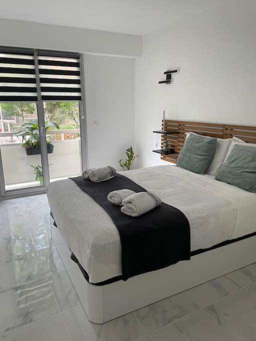 Superbe Appartement Carre Delfino Port De ニース エクステリア 写真